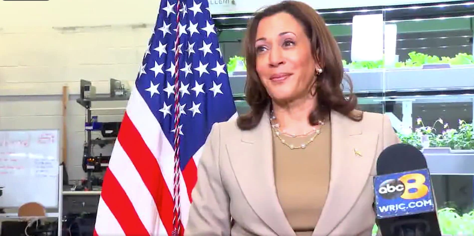 Watch: Harris Confronted About Low Poll Numbers Ahead of the 2024 Election