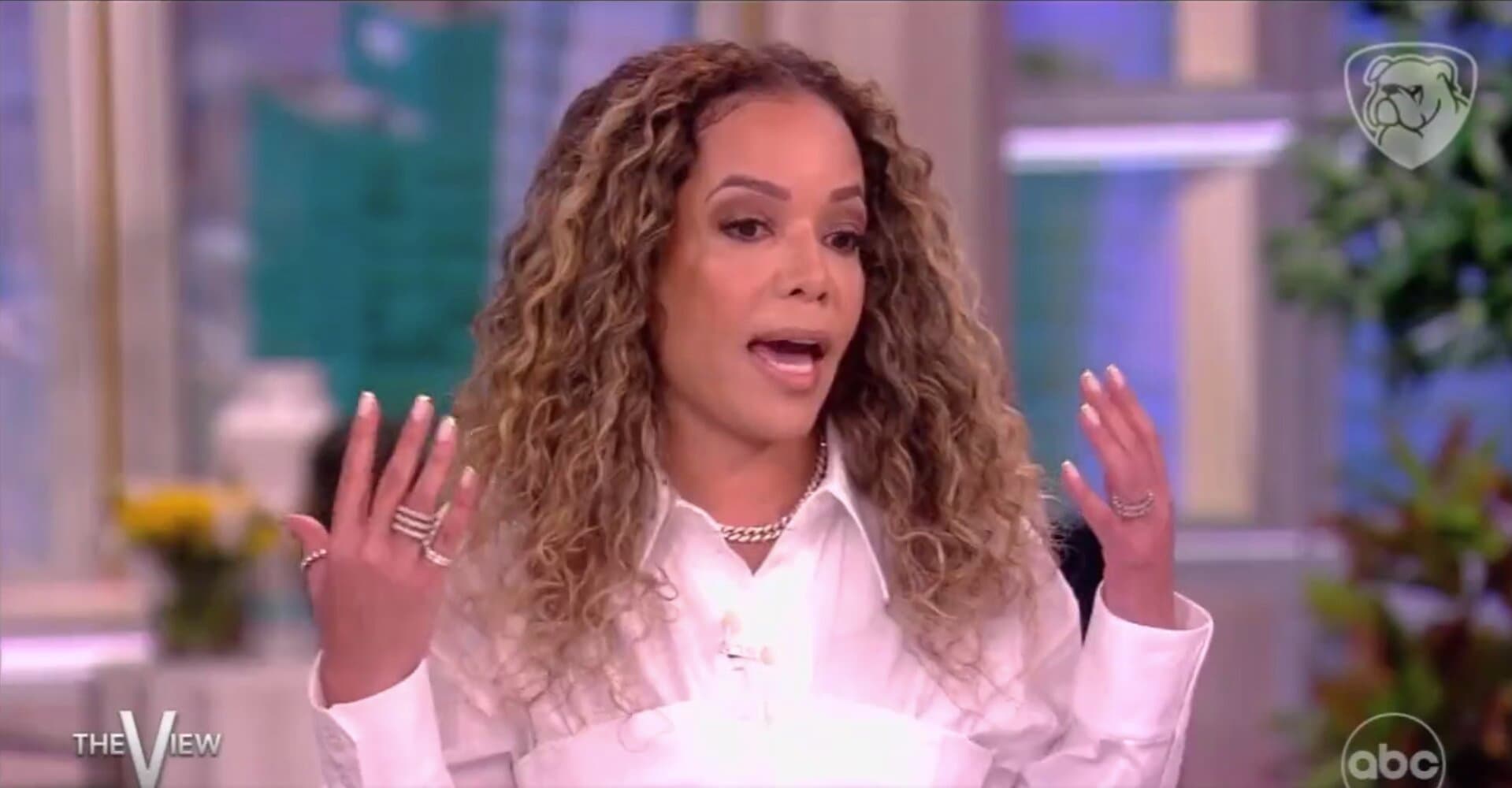 Sunny Hostin Exposes Her Double Standard on Boycotts in 20-Seconds