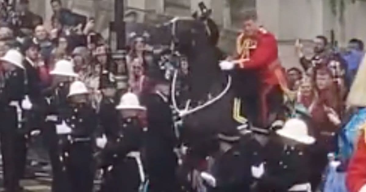 King Charlesā Coronation Chaos: Video Captures Moment Horse Slams Into Crowd Barriers