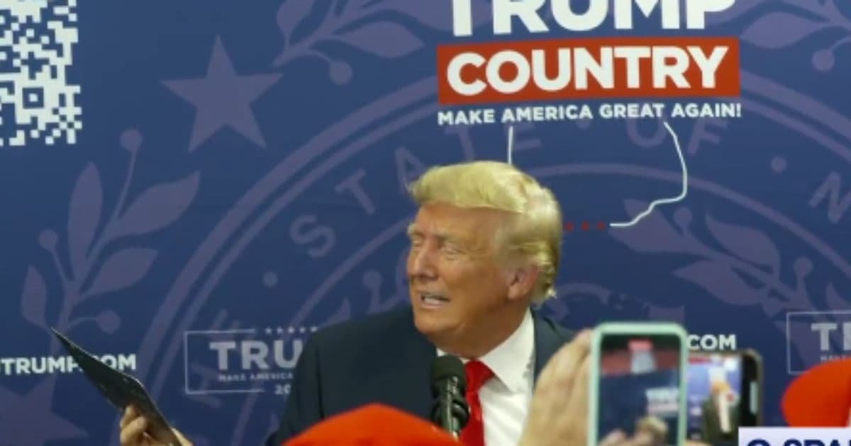 Trump Handed Custom New Hampshire License Plate with 2 Words on It: Iconic Video