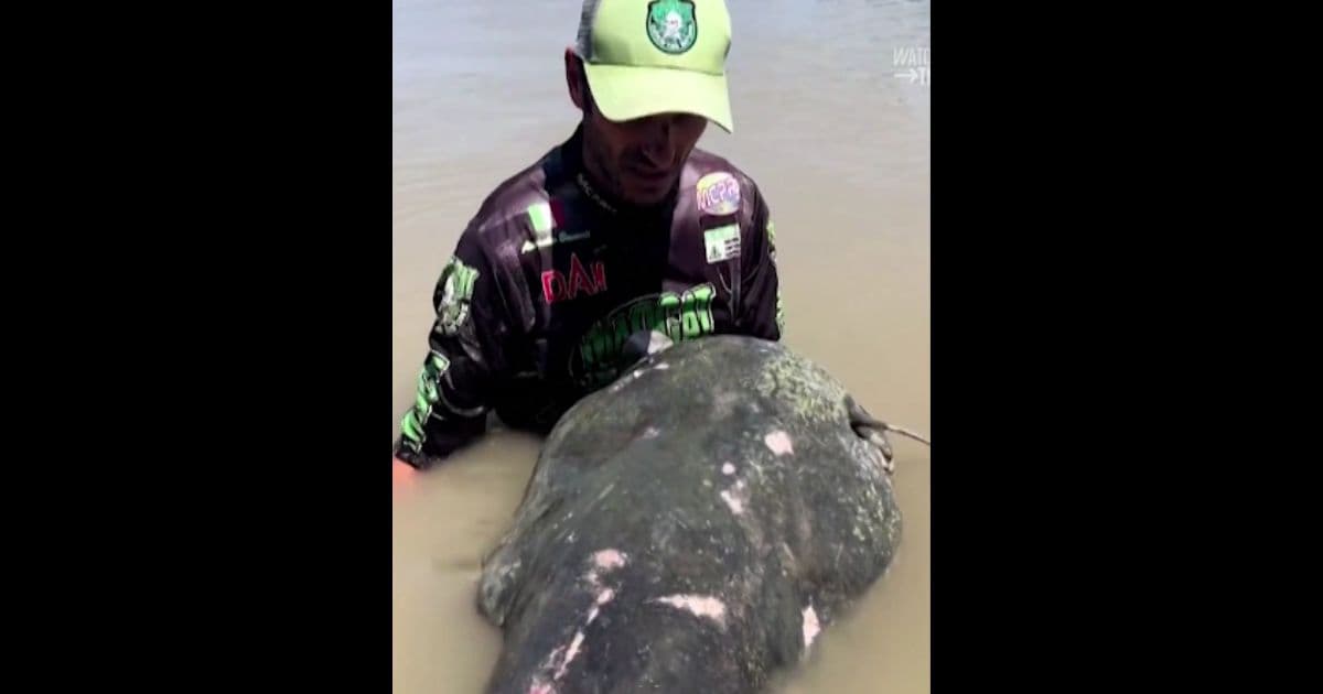 Angler Reels in âPrehistoricâ Fish â Look What He Chose to Do with 9-Foot Monstrosity