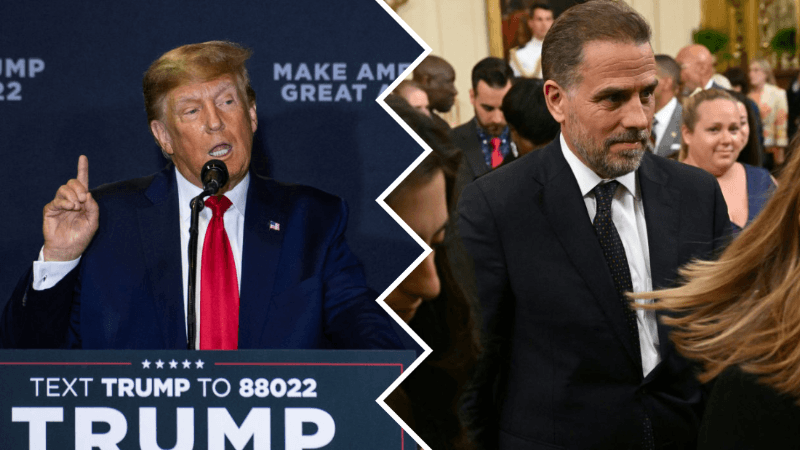Trump Issues First Reaction to Major Hunter Biden Development