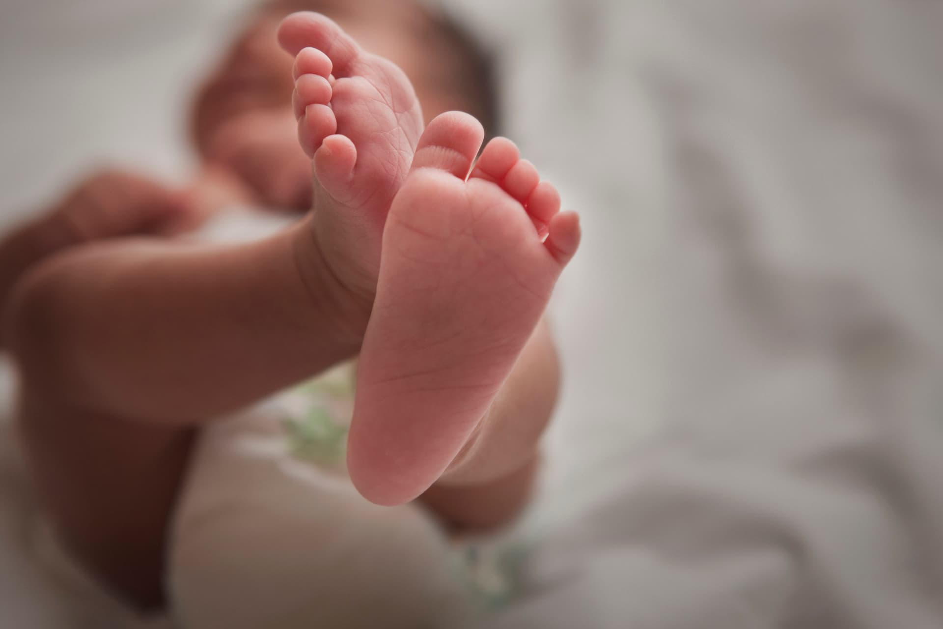 Stray Dog Saves Baby Who Was Dumped in a Garbage Bag: Report