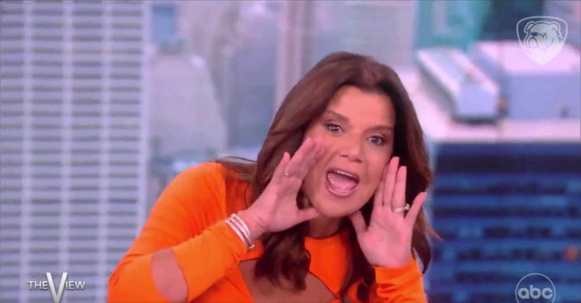 âThe Viewâ Co-Host States She Acts âLike a Dogâ When She Is Near DeSantis Supporters