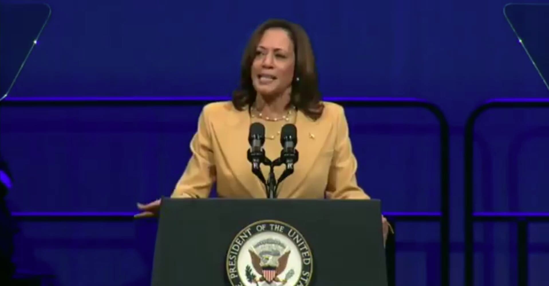 Harris Shoots Down DeSantisā Invitation to Discuss Controversial Curriculum