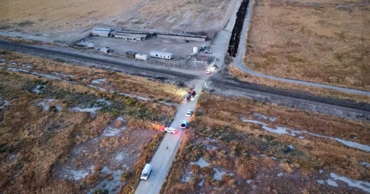 Woman and Dog Dead After Freak Accident: If You See This on the Ground Immediately Call 911