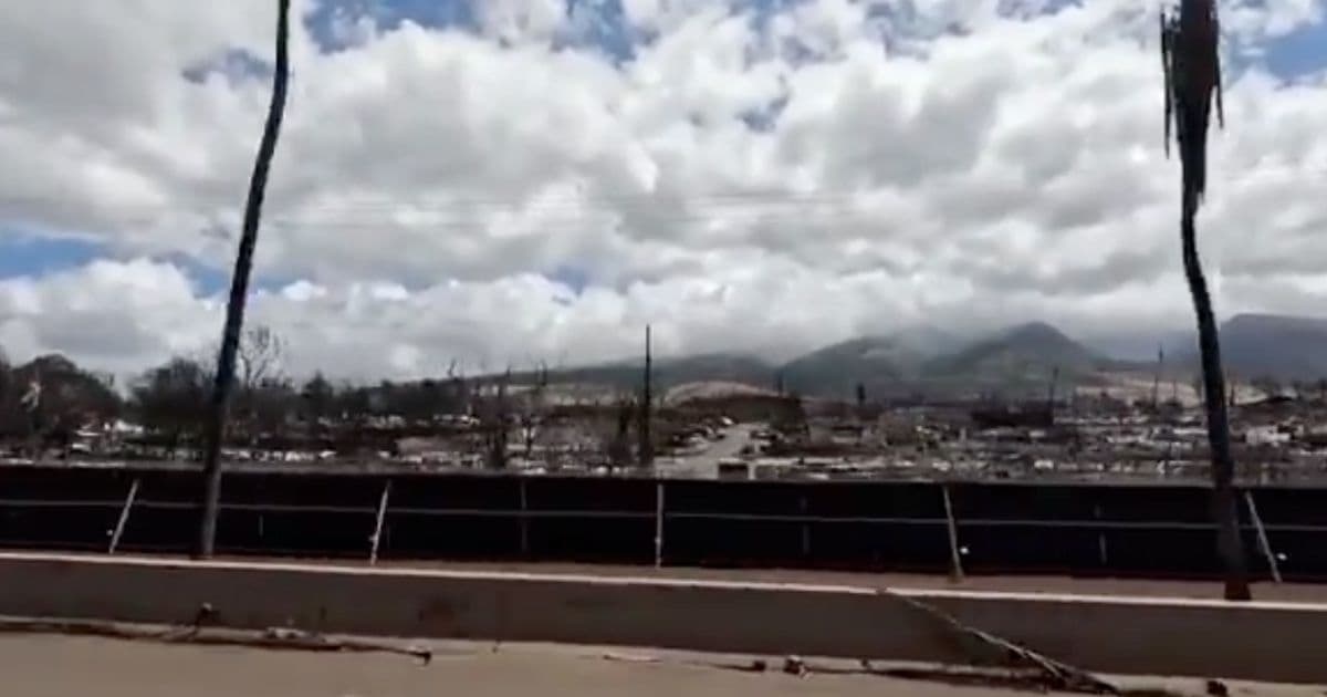 Video: OâKeefe Threatened with Arrest While Getting Hidden-Camera Footage of Maui