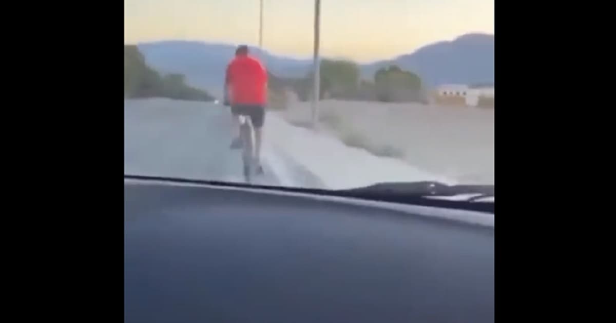Graphic Video: Laughing, Joy-Riding Teen Car Thief ‘Intentionally’ Strikes and Kills Cyclist, 64, Police Allege