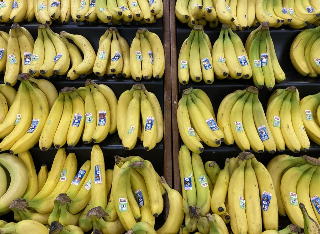 Scientists Warn Bananas Could Go Extinct Due to Fungus Infection