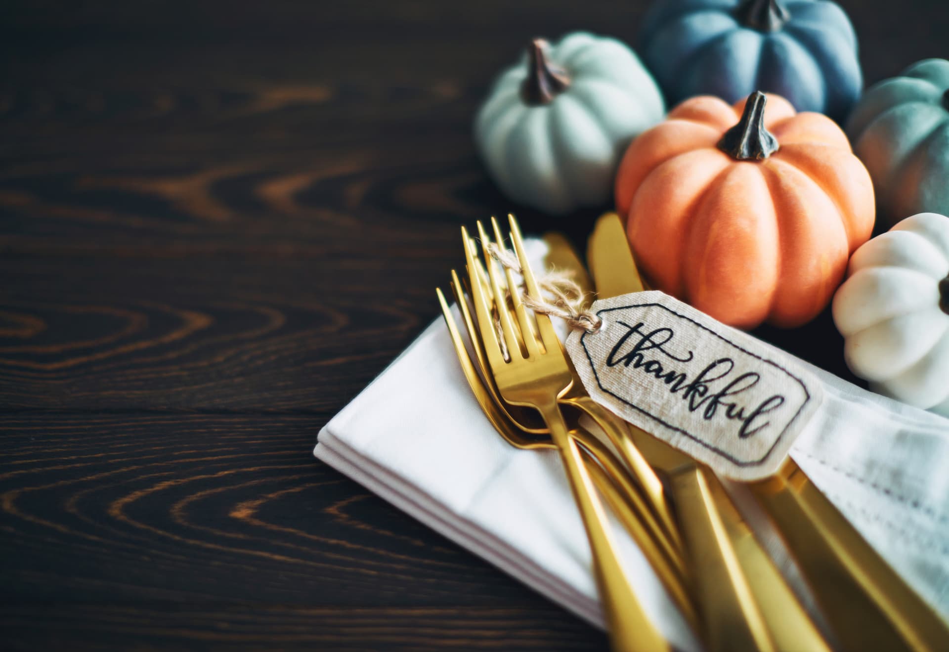 Celebrate the Gratitude of Thanksgiving With âReclaiming Femininityâ