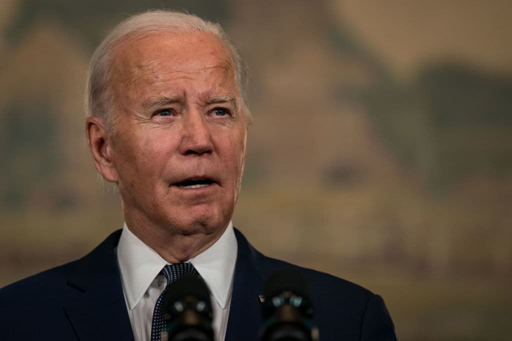 Majority of Americans Donāt Believe Biden Is Running the White House ā Heās Just a āPuppetā