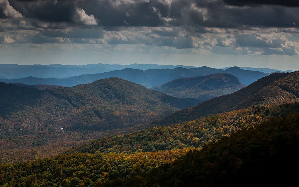 Part of Blue Ridge Parkway Closed After Visitors Attempted to Feed, Hold Bear