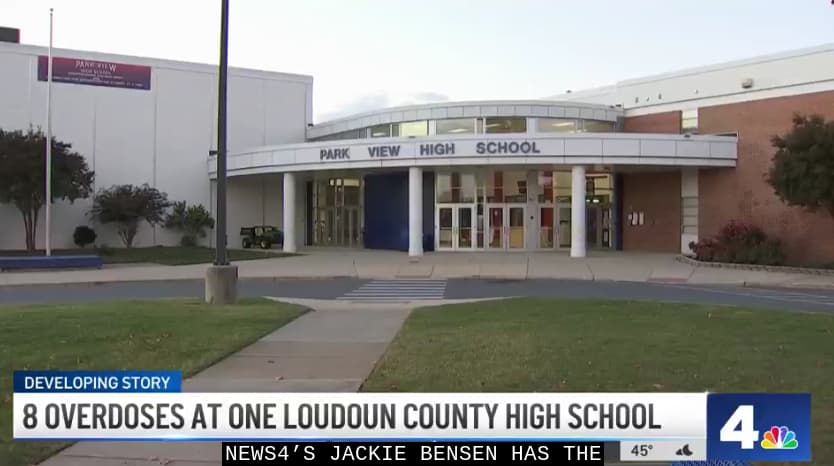 âThere Is a Fentanyl Problemâ: High School in Virginia County Reports 8 Overdoses