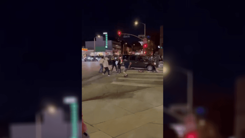 Brawl Erupts Outside of LA Museum of Tolerance at Gal Gadot’s Hamas Attack Screening
