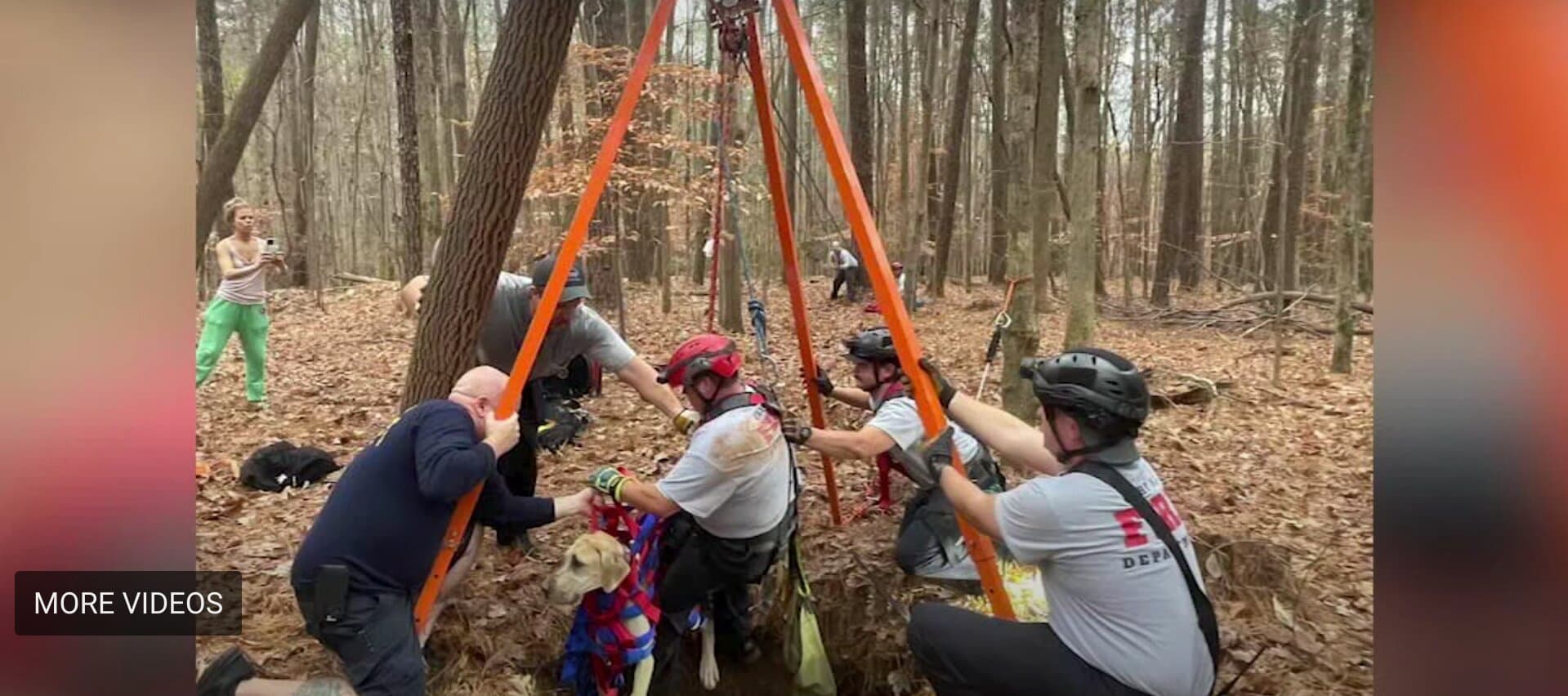 Puppy Saved By North Carolina Firefighters After Falling Down Well