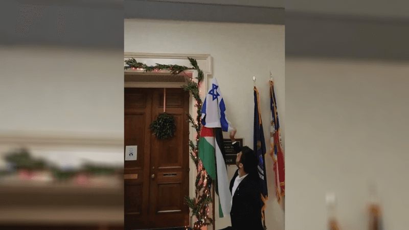 Pro-Israel Activist Puts Hostage Posters Up Outside Tlaibâs Office, Covers Her Palestinian Flag