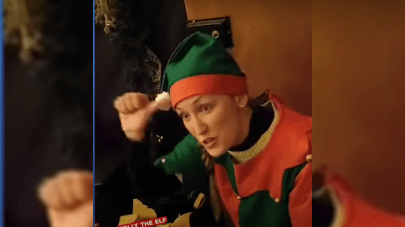 Elf Who Knows Sign Language Helps Deaf Girl Tell Santa What She Wants for Christmas