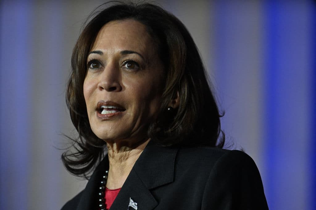 Ex-Harris Staffers Give Their Assessments of Kamala in New Book, And It’s Not Good for the VP
