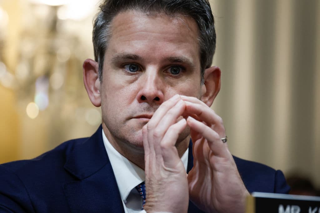 Kinzinger Re-Tweets Suggestion Biden Might Have to Step Aside 2 Days After Endorsing Him