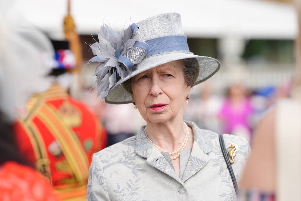 Princess Anne Released From HospitalĀ