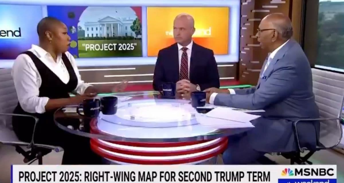 MSNBC Co-Host Chides Colleague for Using the Term âIllegal Immigrantâ While Discussing Migrant Crime