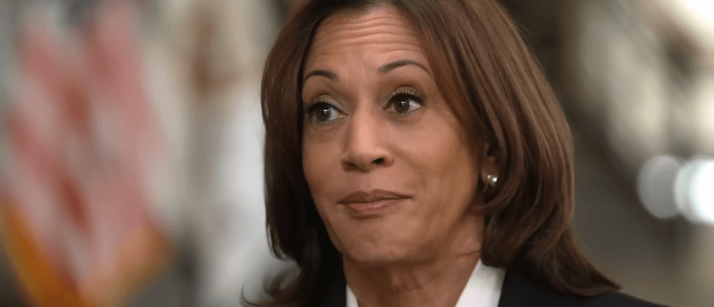 America’s Border Crisis Could Get A Whole Lot Worse Under Kamala Harris, Experts Say