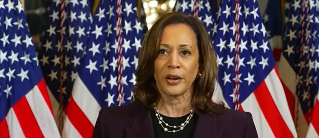 CARLY ATCHISON BIRD: Kamala Harris Sets Off In Search Of A Unicorn VP Pick … In Today’s Democratic Party