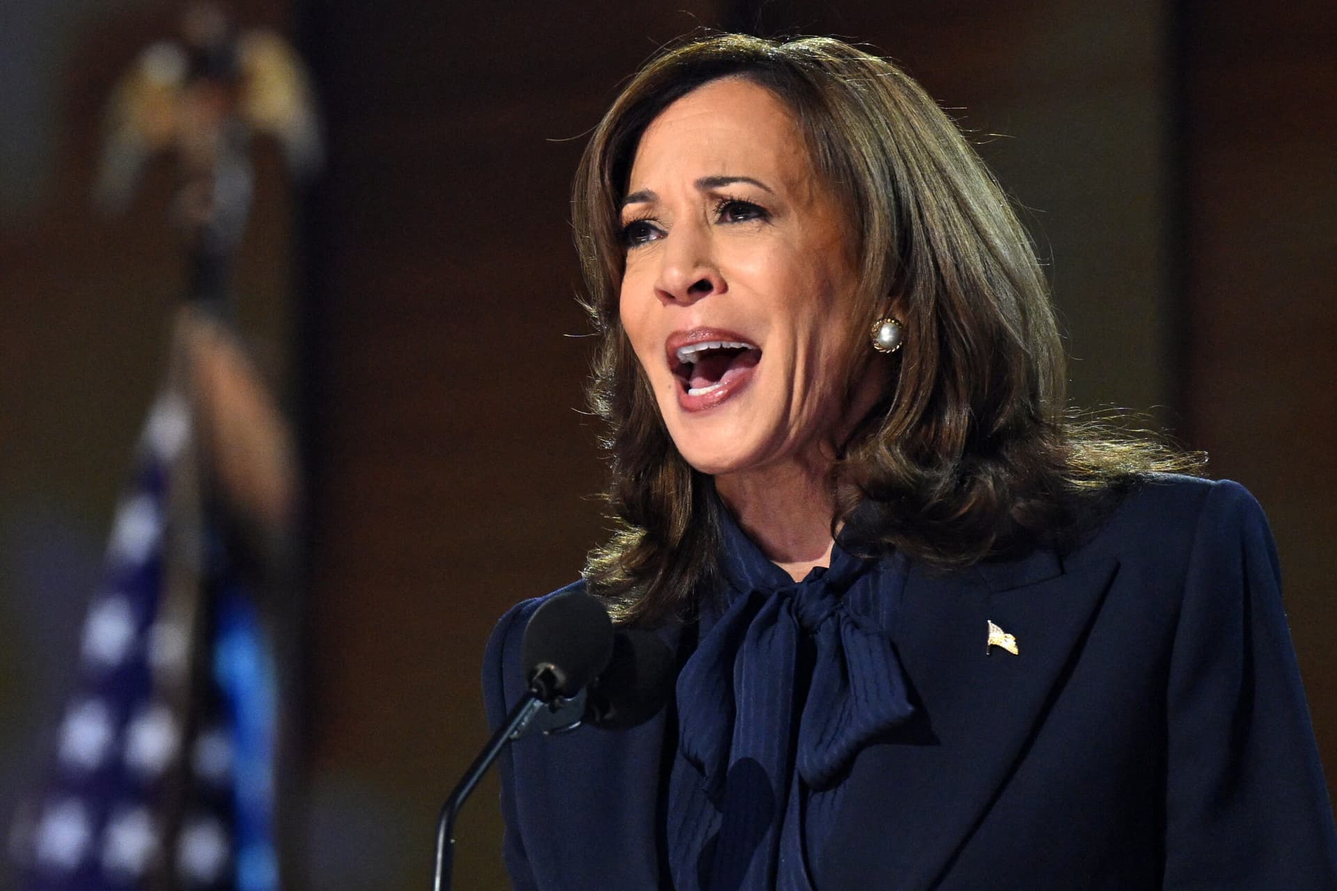 Harris Accused of ‘Insane’ Accent Change As X Users Compare Footage From Two Rallies on the Same Day
