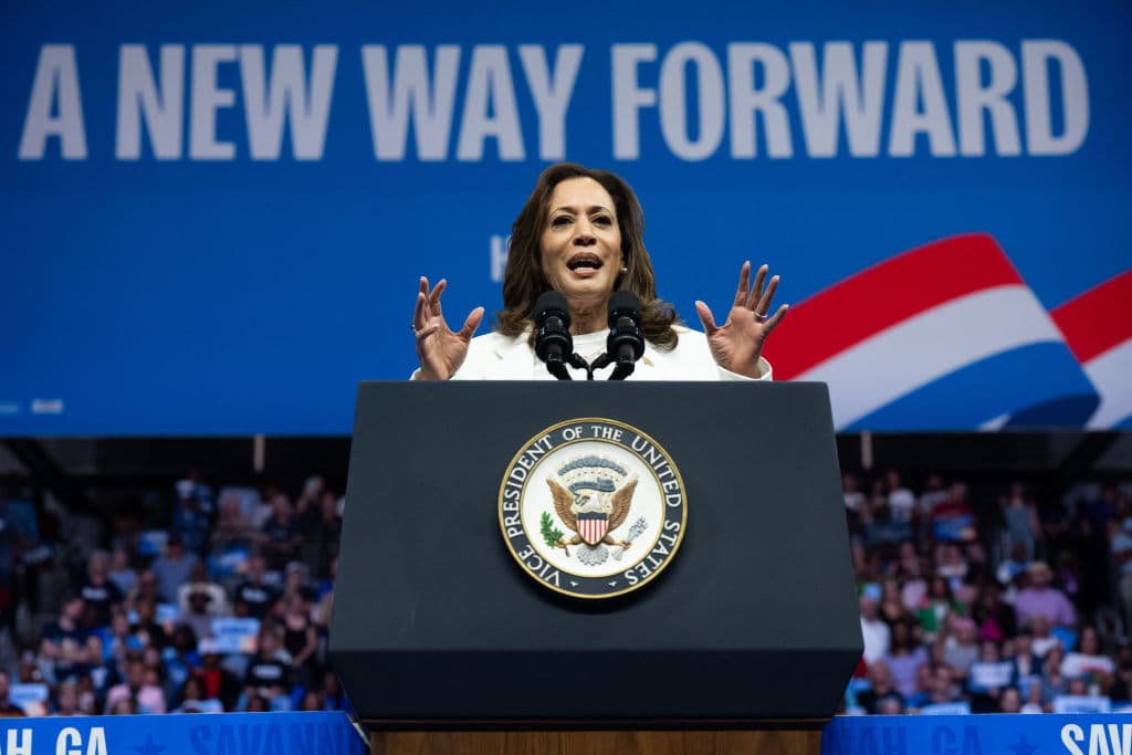 Harris Offers 7 Words When Asked About Trump’s Questioning of Her Heritage