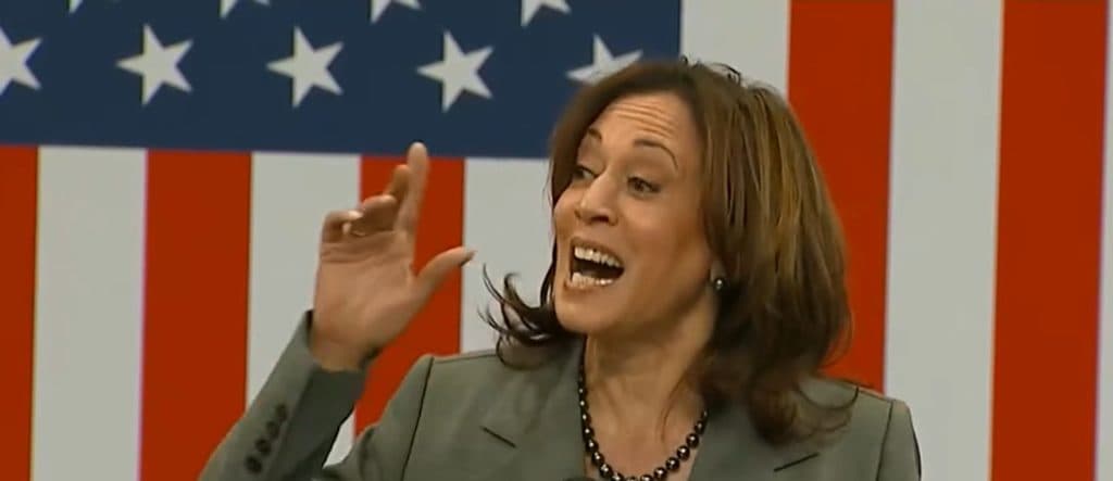 CARLA SANDS: Hereâs What Four Years Of Kamala Harris Would Cost