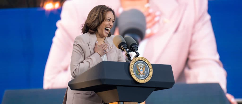 âChild-Free By Choiceâ: Cat Lady Convention Goers Embrace Kamala Harris, Diss JD Vance