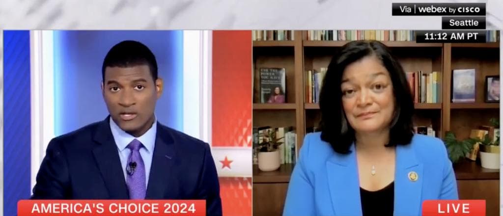 Dem Rep Casts Blame On âBig Moneyâ Advertisers For Squad Memberâs Primary Defeat