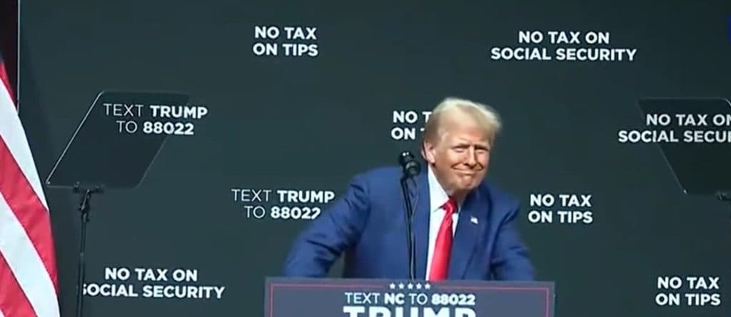 Harris Leads Trump In Key Swing State Demographic, But Huge Number Of Voters Are Still Up For Grabs: POLL