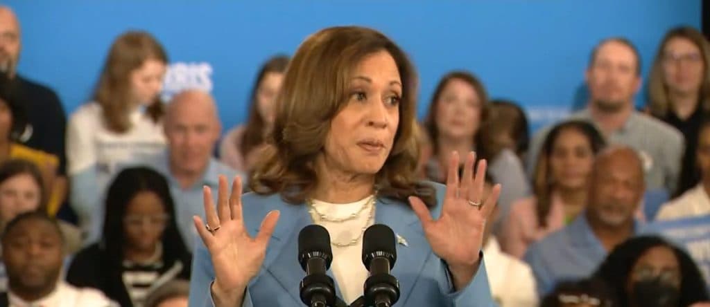 âShe Is A Black Womanâ: CNN Analyst Says Harris Would Be âUnderdogâ Even If She Surged In Polls
