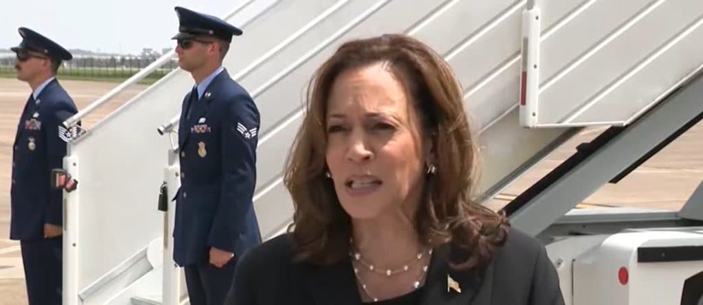 BETSY McCAUGHEY: Kamala Harris Might Find Out Male Voters Donāt Like Her Very Much