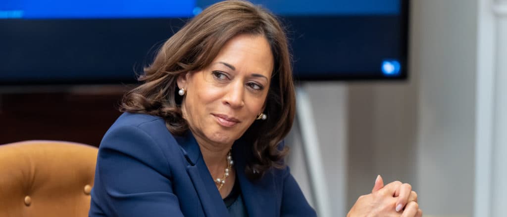 Top Harris Campaign Adviser Hears āDemandsā Of Eco-Activist Whose Group Harassed Kamala, Top Dems