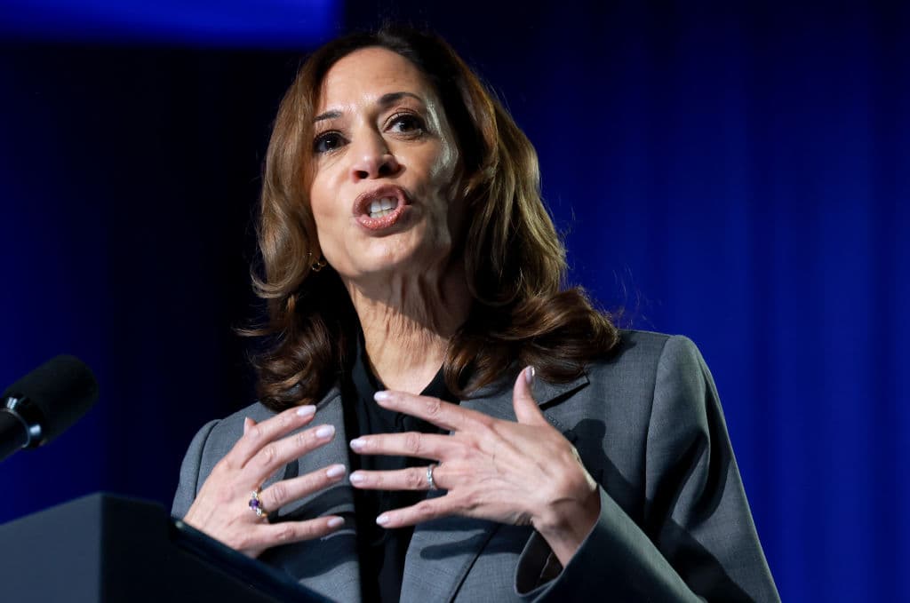 Harris Inadvertantly Makes Plug For Trump; Gets Slammed