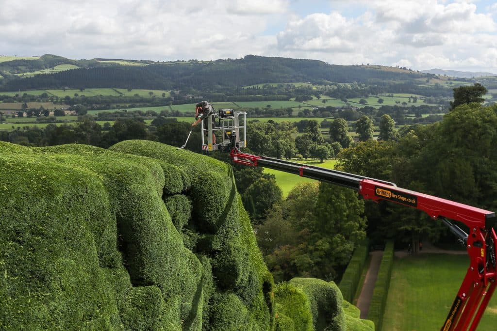 Gardener Braves Heights To Tame 300-Year-Old Hedges At Historic Castle
