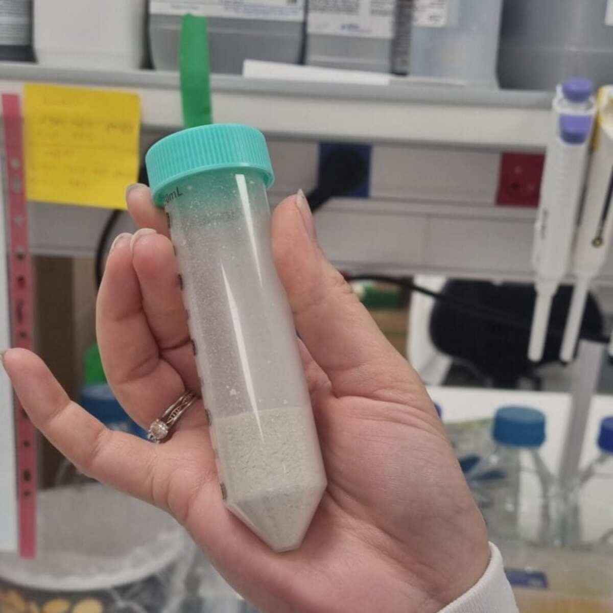 Israeli Startup Day 8 Revolutionizes Protein Extraction From Discarded Leavesā
ā