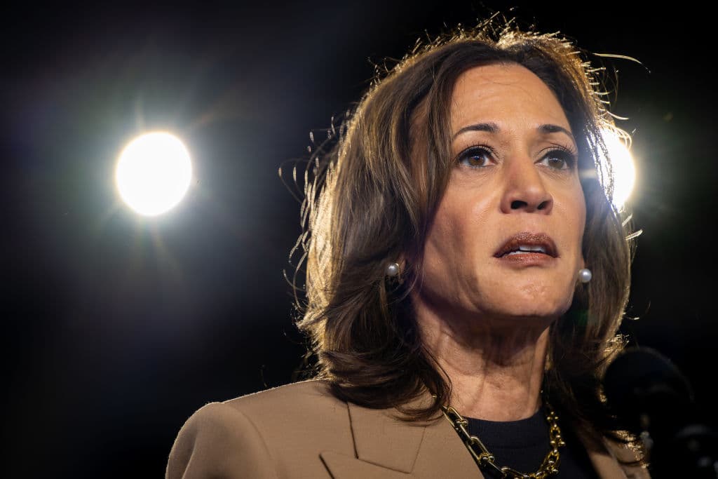Plagiarism Allegations Against Harris âMore Seriousâ Than Previously Believed, NYT Consultant Says