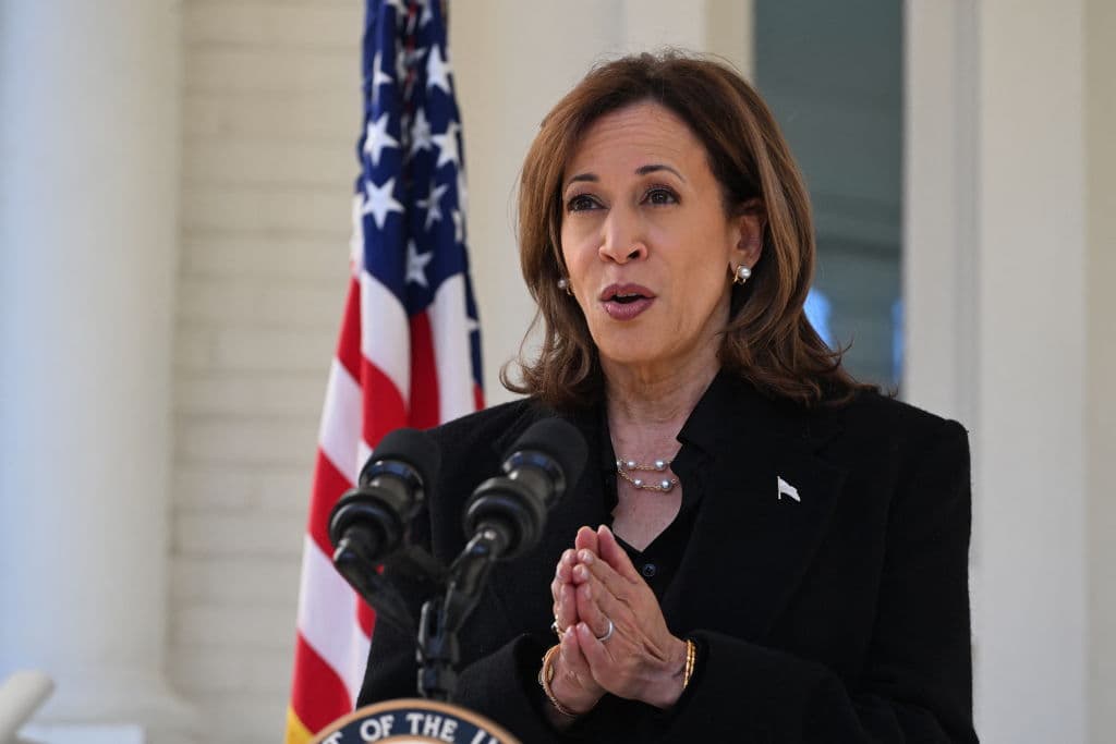 Former Republican Cabinet Member Endorses Harris