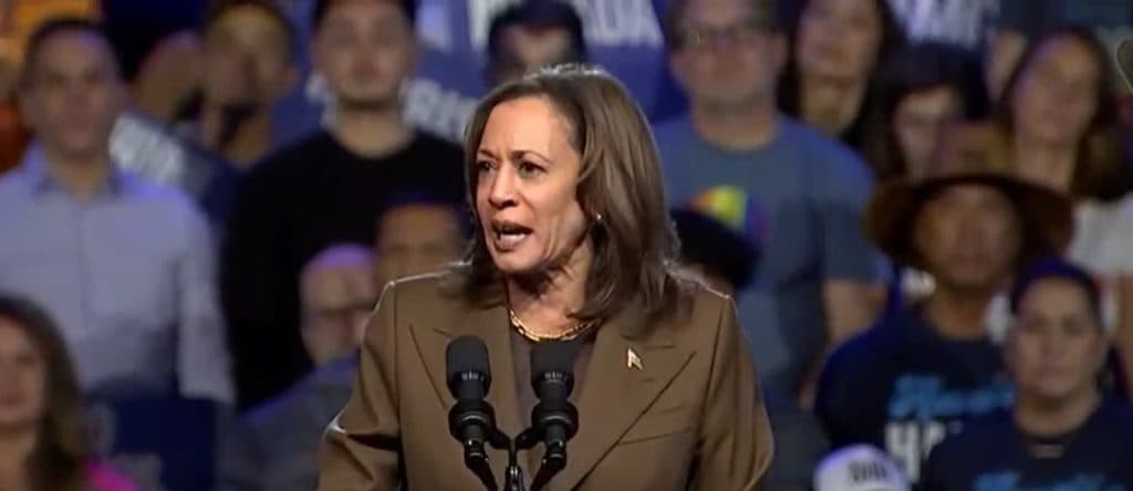 âAbsolutely Repulsiveâ: Harris Campaign Spending Good Chunk Of Cycle Rubbing Elbows With Celebs, Big Money Donors