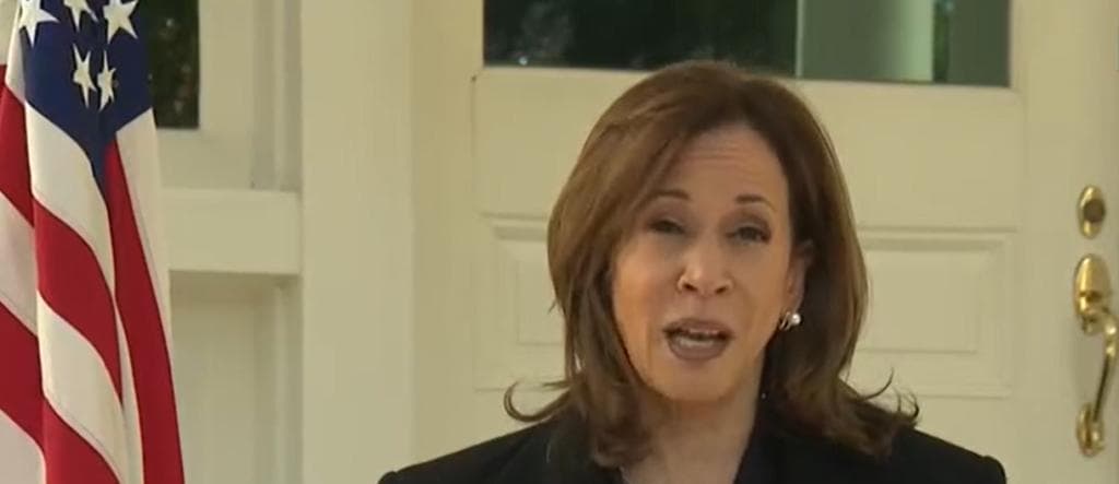 CNN Journalist Points Out âWarning Signâ For Harris In Two Key Battleground States