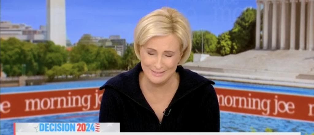 âOh My Godâ: Mika Brzezinski Practically Comes Apart At The Seams After Listening To Undecided Voter Focus Group