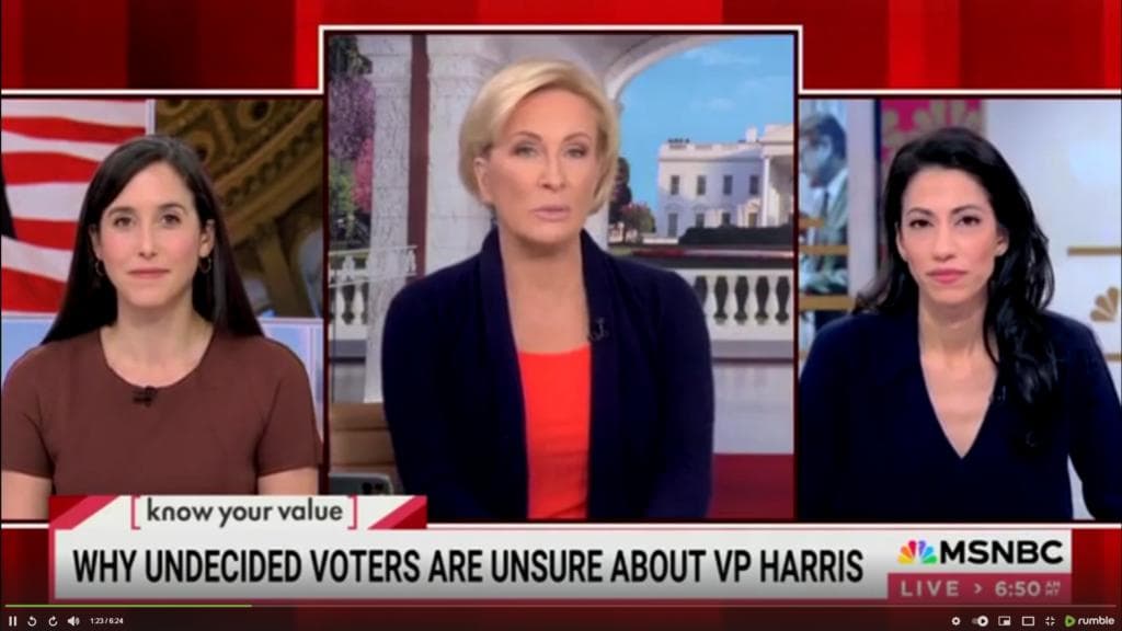 āPart Of It Is Gender Biasedā: MSNBC Panel Points To Sexism As One Reason Why Voters Are āUnsureā About Harris