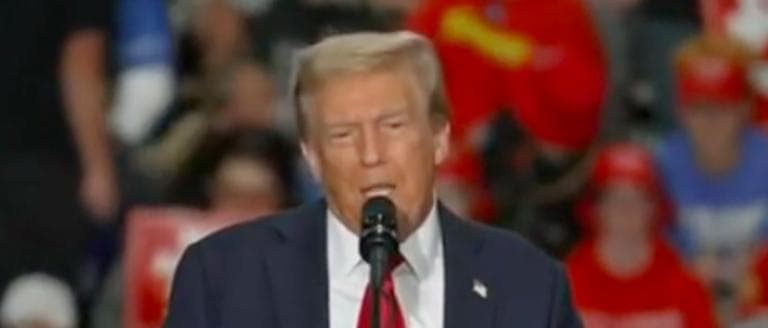 Trump Confirms Campaign Booked One Of Worldâs Most Famous Arenas For Rally In âPlayâ For Blue State