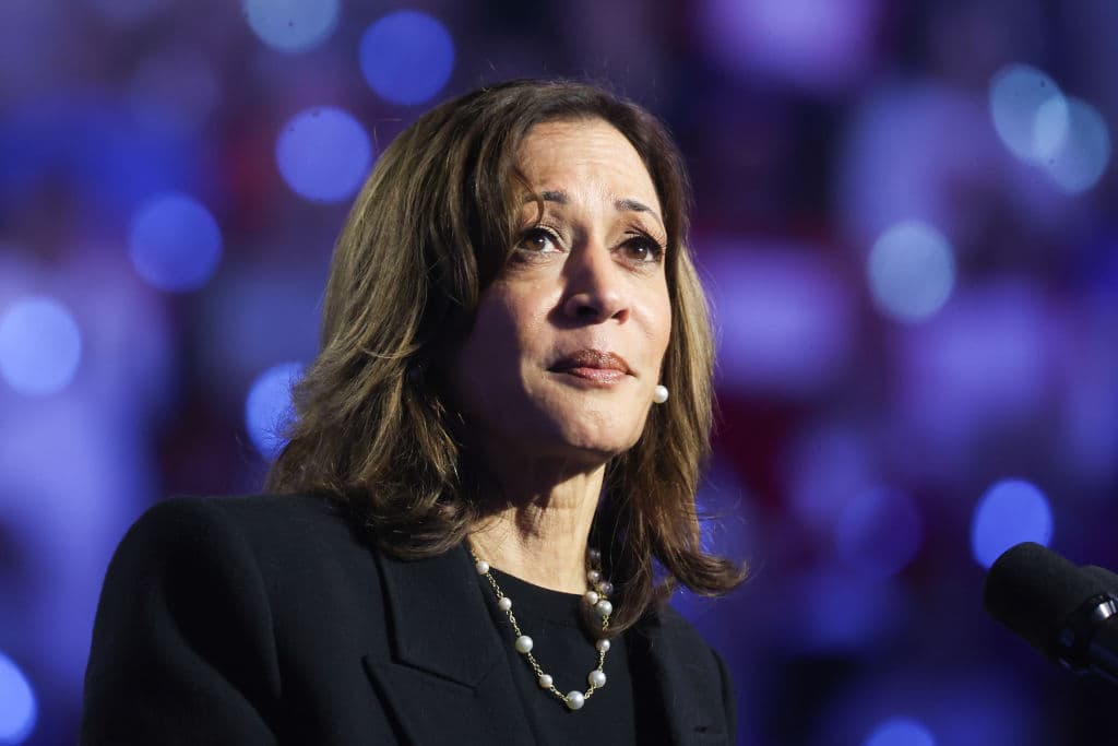 Dem Strategist Tells Harris āPlease Donātā Run in 2028