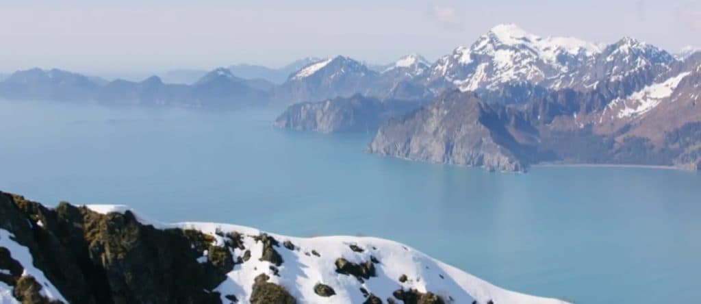 JOHN STOSSEL: What Destructive Environmentalists Wonât Say About The Green Revolution