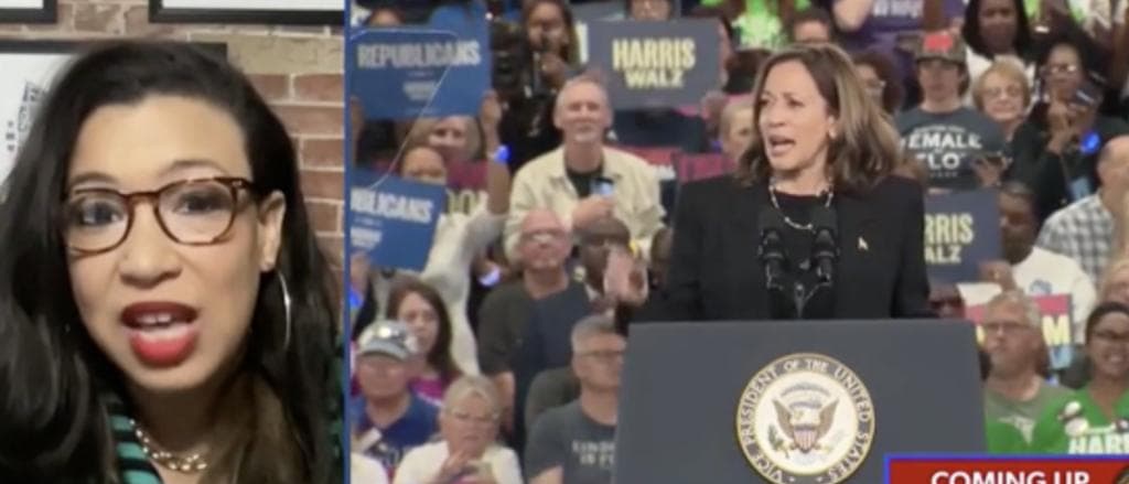 âPlease Donâtâ: Democratic Strategist Pleads With Kamala Harris To Never Run For President Again