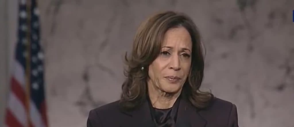 Safe Spaces, Canceled Exams And Therapy Ducks: How Colleges Help Students Cope With Kamala’s Loss
